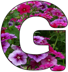 Deko-Buchstaben-Blumen_G.jpg